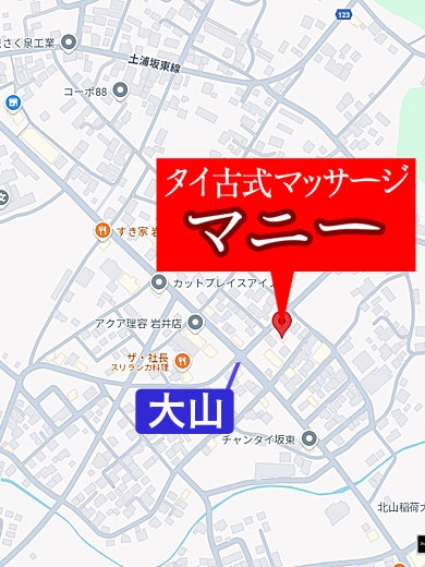 �}�j�[ �^�C�Î��}�b�T�[�W�Ⓦ